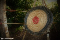 DSC_0124-2