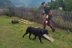 IMG_20250712_120244841_HDR